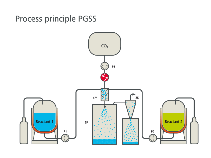 Illustrazione: Principio del processo PGSS